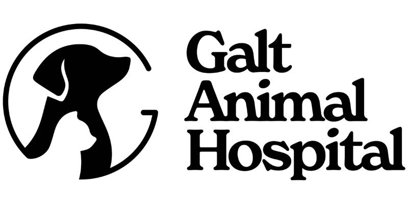 Galt Animal Hospital Logo